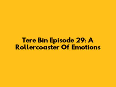 Tere Bin Episode 29: A Rollercoaster Of Emotions