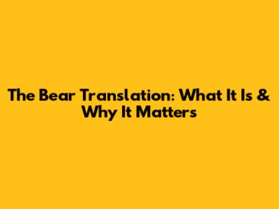 The Bear Translation: What It Is & Why It Matters