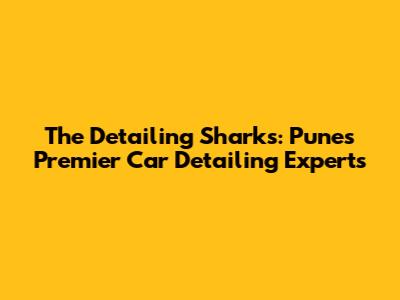 The Detailing Sharks: Pune's Premier Car Detailing Experts