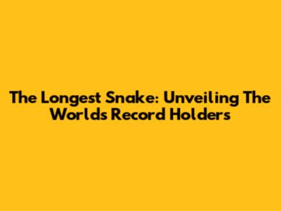 The Longest Snake: Unveiling The World's Record Holders