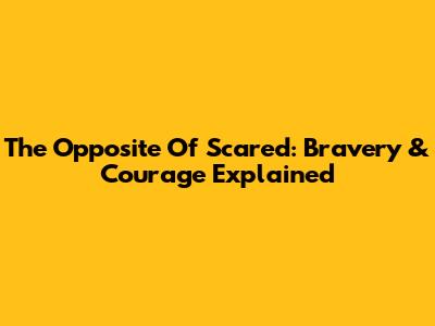 The Opposite Of Scared: Bravery & Courage Explained