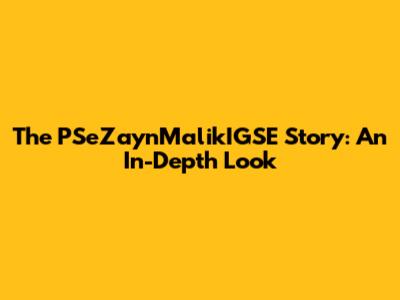 The PSeZaynMalikIGSE Story: An In-Depth Look