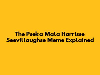 The Pseka Mala Harrisse Seevillaughse Meme Explained