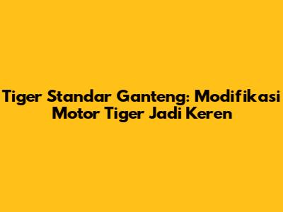 Tiger Standar Ganteng: Modifikasi Motor Tiger Jadi Keren