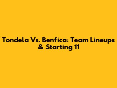 Tondela Vs. Benfica: Team Lineups & Starting 11