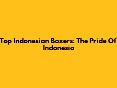 Top Indonesian Boxers: The Pride Of Indonesia