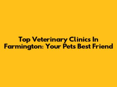 Top Veterinary Clinics In Farmington: Your Pet's Best Friend
