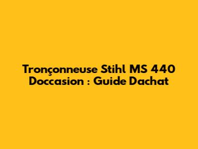 Tronçonneuse Stihl MS 440 D'occasion : Guide D'achat
