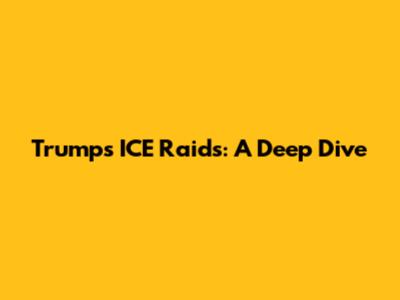 Trump's ICE Raids: A Deep Dive