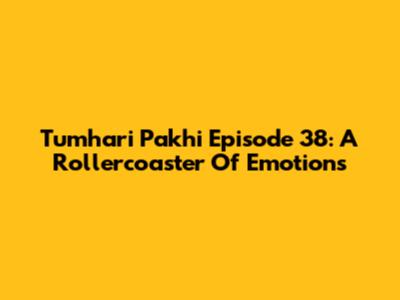 Tumhari Pakhi Episode 38: A Rollercoaster Of Emotions