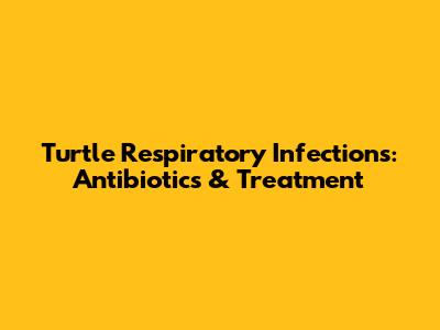 Turtle Respiratory Infections: Antibiotics & Treatment