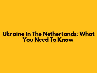 Ukraine In The Netherlands: What You Need To Know