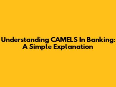 Understanding CAMELS In Banking: A Simple Explanation