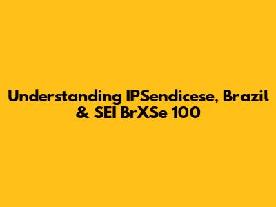 Understanding IPSendicese, Brazil & SEI BrXSe 100