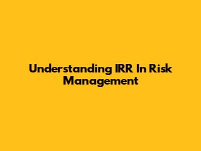 Understanding IRR In Risk Management