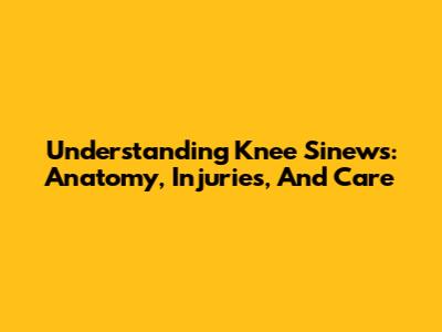 Understanding Knee Sinews: Anatomy, Injuries, And Care