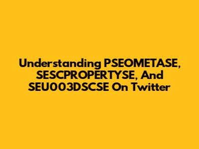 Understanding PSEOMETASE, SESCPROPERTYSE, And SEU003DSCSE On Twitter