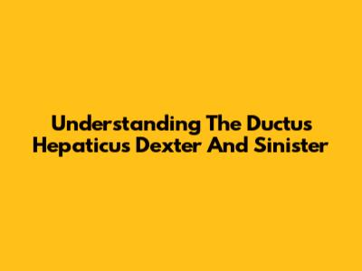 Understanding The Ductus Hepaticus Dexter And Sinister