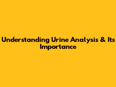 Understanding Urine Analysis & Its Importance