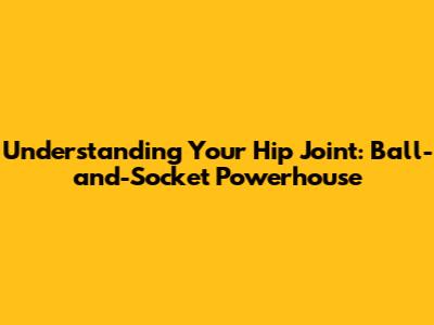 Understanding Your Hip Joint: Ball-and-Socket Powerhouse