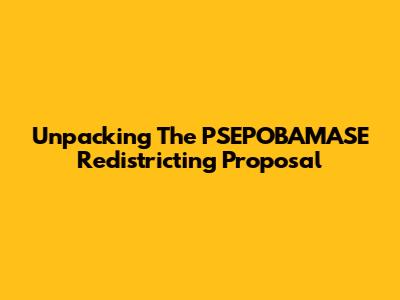 Unpacking The PSEPOBAMASE Redistricting Proposal