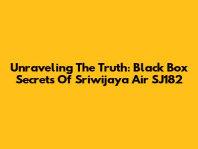 Unraveling The Truth: Black Box Secrets Of Sriwijaya Air SJ182