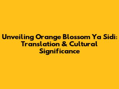 Unveiling 'Orange Blossom Ya Sidi': Translation & Cultural Significance