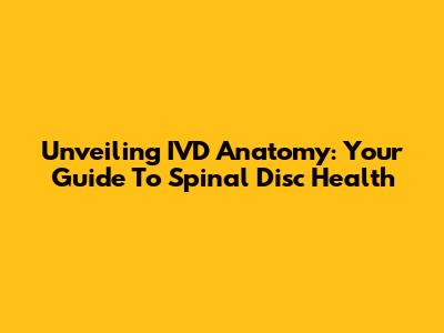 Unveiling IVD Anatomy: Your Guide To Spinal Disc Health
