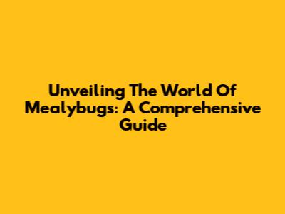 Unveiling The World Of Mealybugs: A Comprehensive Guide