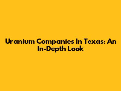 Uranium Companies In Texas: An In-Depth Look