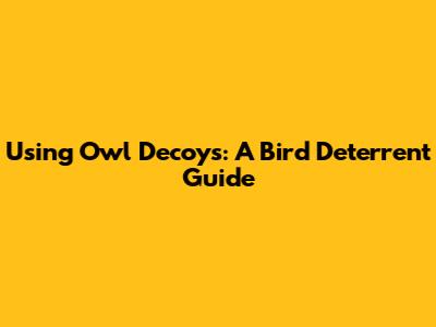 Using Owl Decoys: A Bird Deterrent Guide