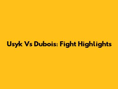 Usyk Vs Dubois: Fight Highlights