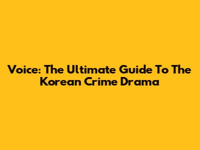 Voice: The Ultimate Guide To The Korean Crime Drama