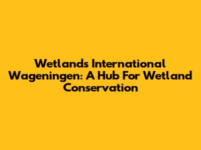Wetlands International Wageningen: A Hub For Wetland Conservation