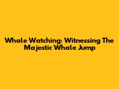 Whale Watching: Witnessing The Majestic Whale Jump