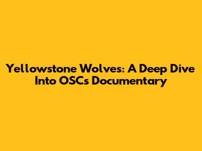Yellowstone Wolves: A Deep Dive Into OSC's Documentary