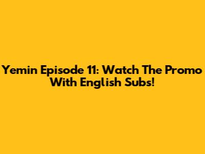 Yemin Episode 11: Watch The Promo With English Subs!