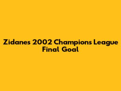 Zidane's 2002 Champions League Final Goal