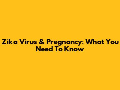 Zika Virus & Pregnancy: What You Need To Know